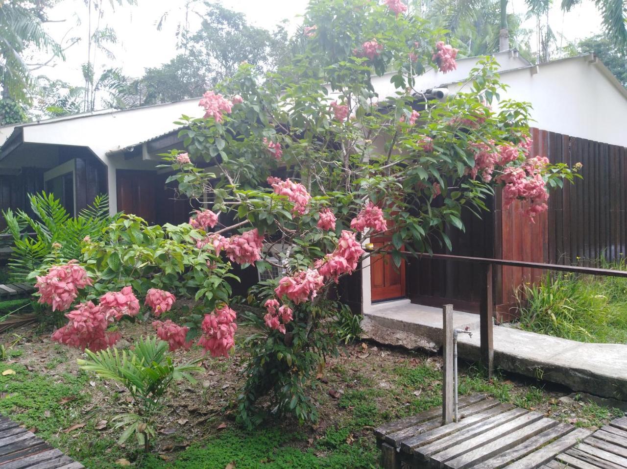 Santa Teresa  Ceiba Tops מראה חיצוני תמונה